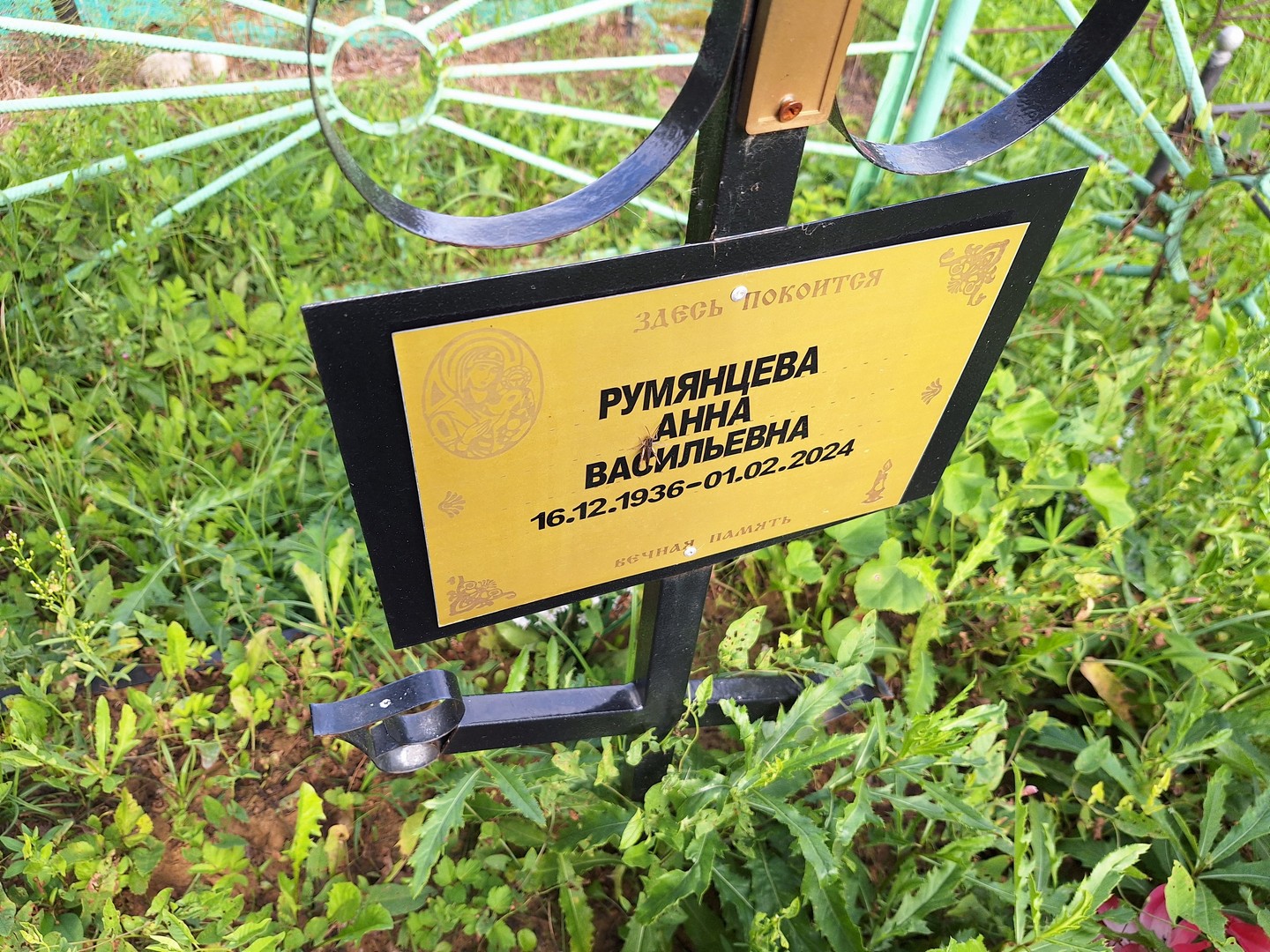 Румянцева