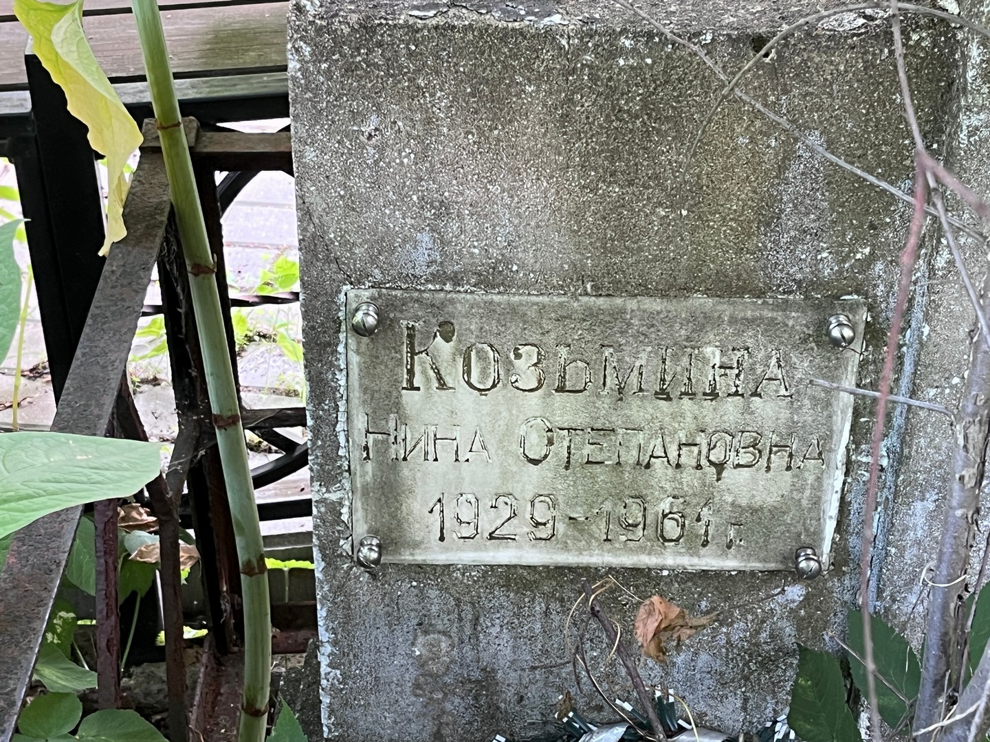 Козьмина