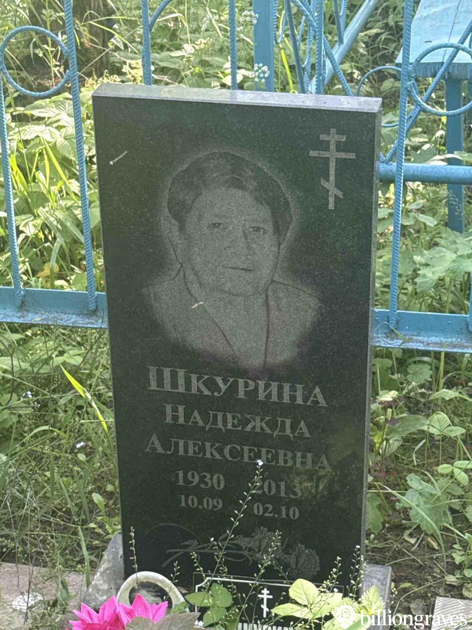 Шкурина Надежда Алексеевна