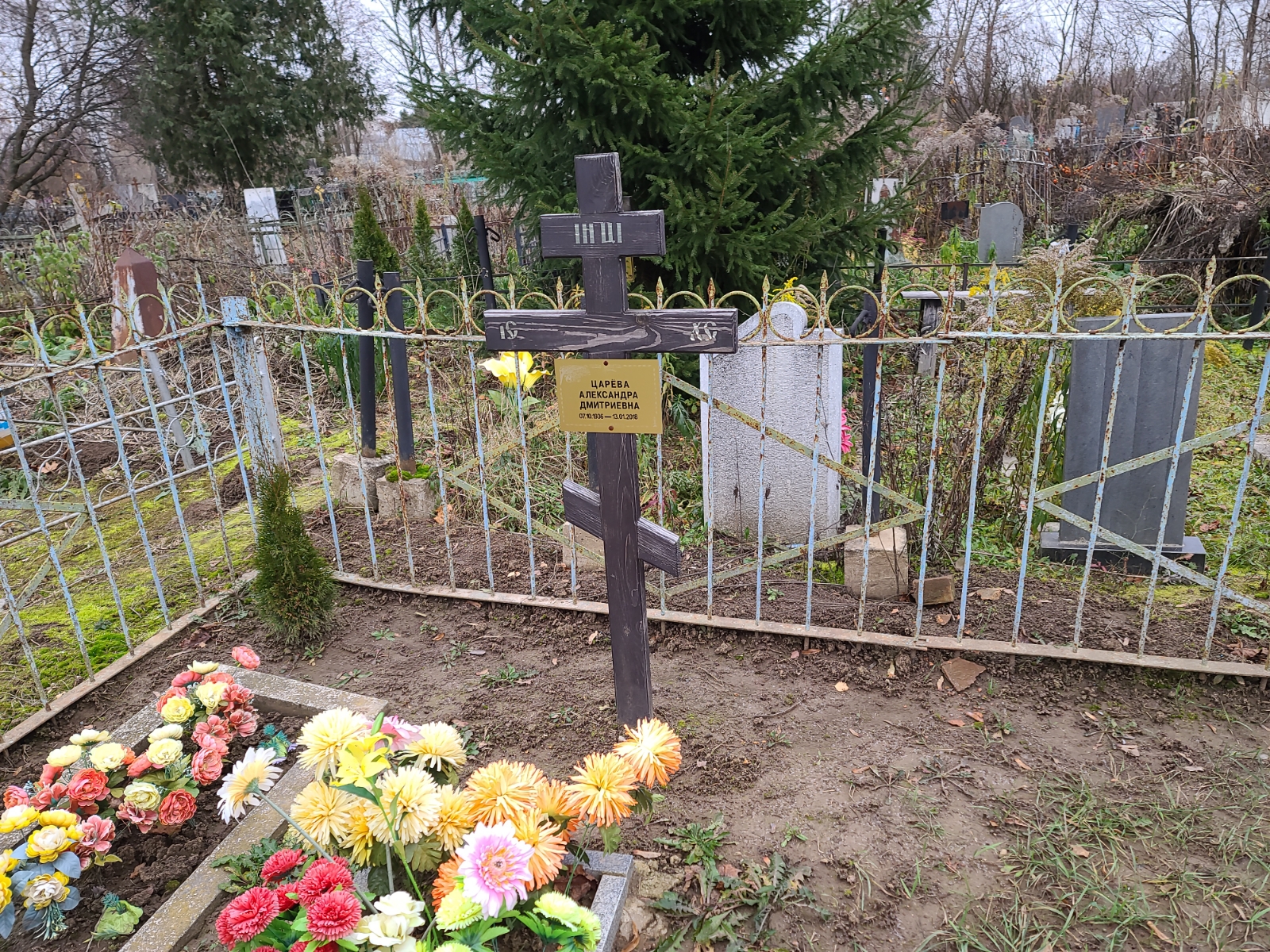 Царева Александра Дмитриевна