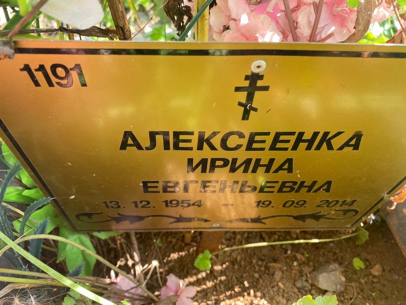 Алексеенка