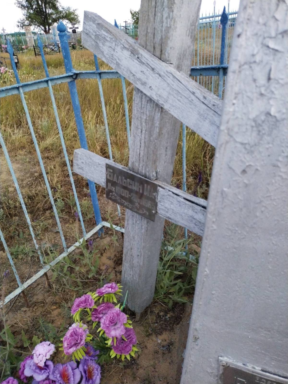 Бальсин И. А.