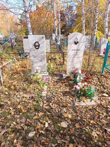 Новолаев Адам Ефимович