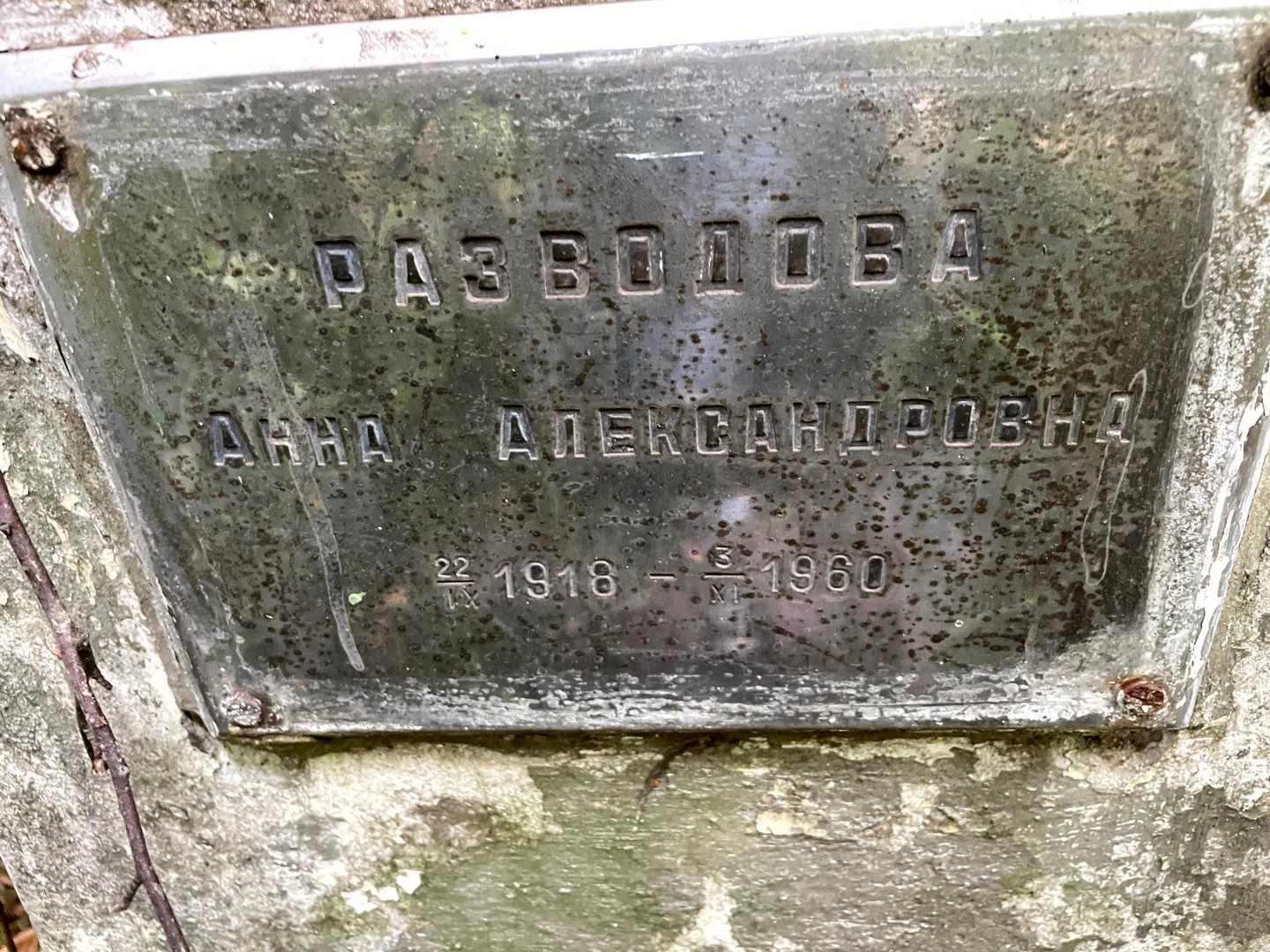 Разводова