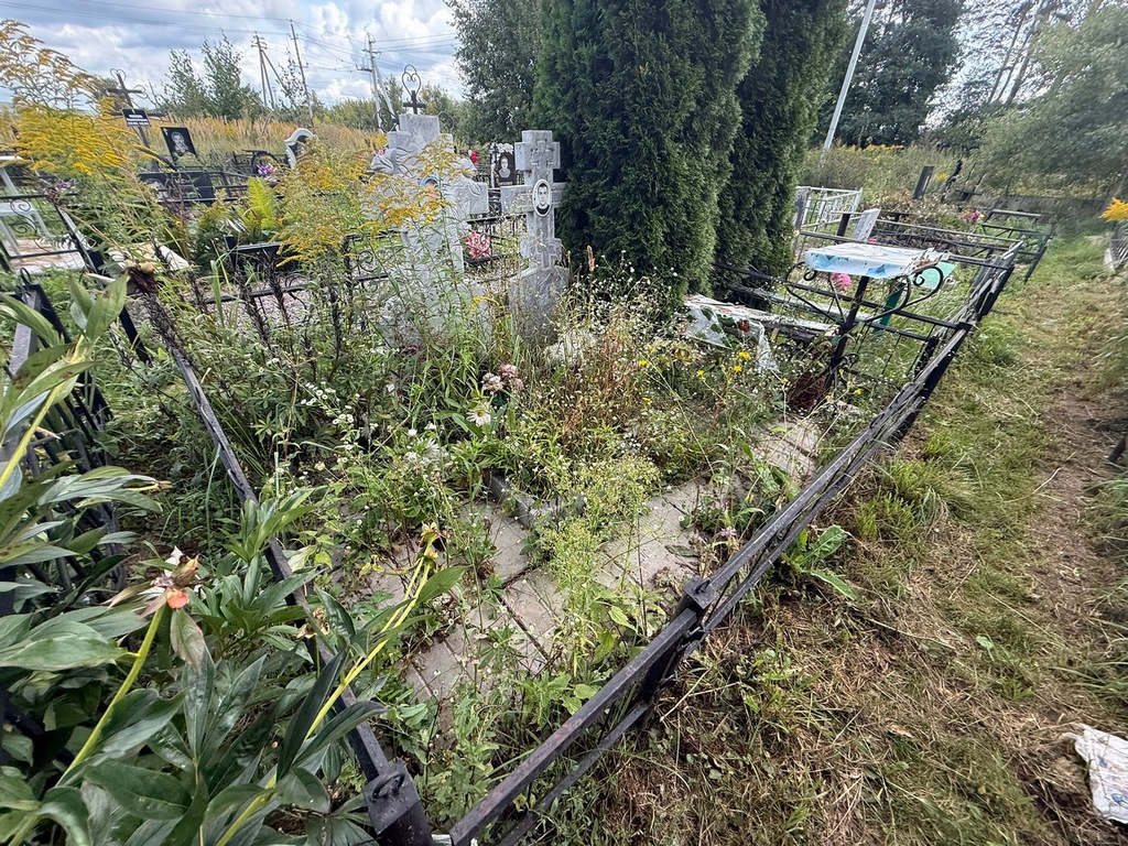 Плетнев Николай Александрович