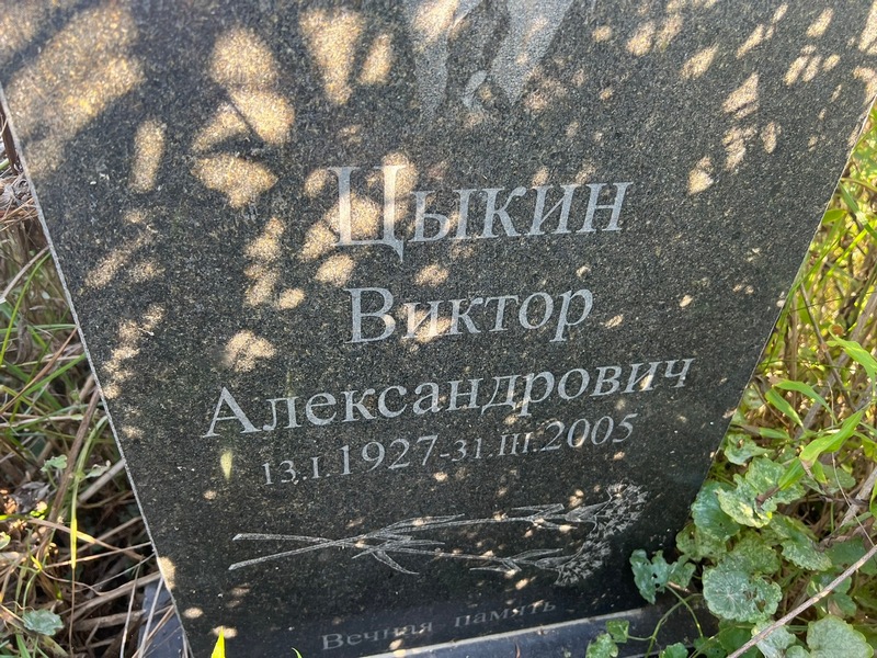 Цыкин