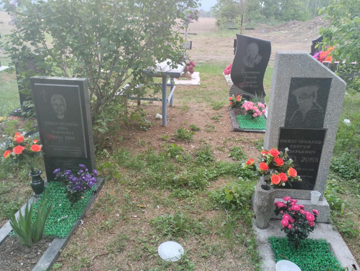 Нижегородцева Анна Павловна