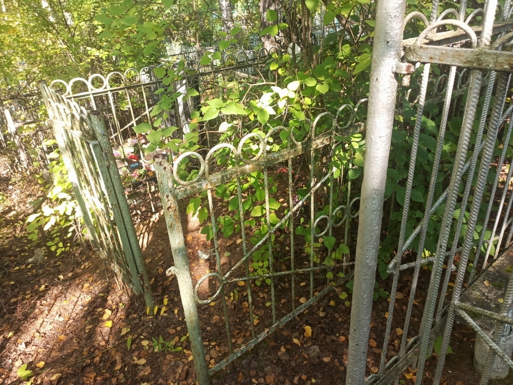 Котова Александра Степановна