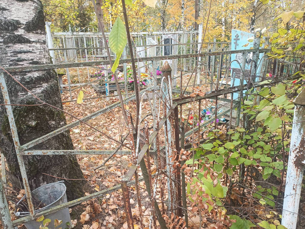 Молев Николай Иванович