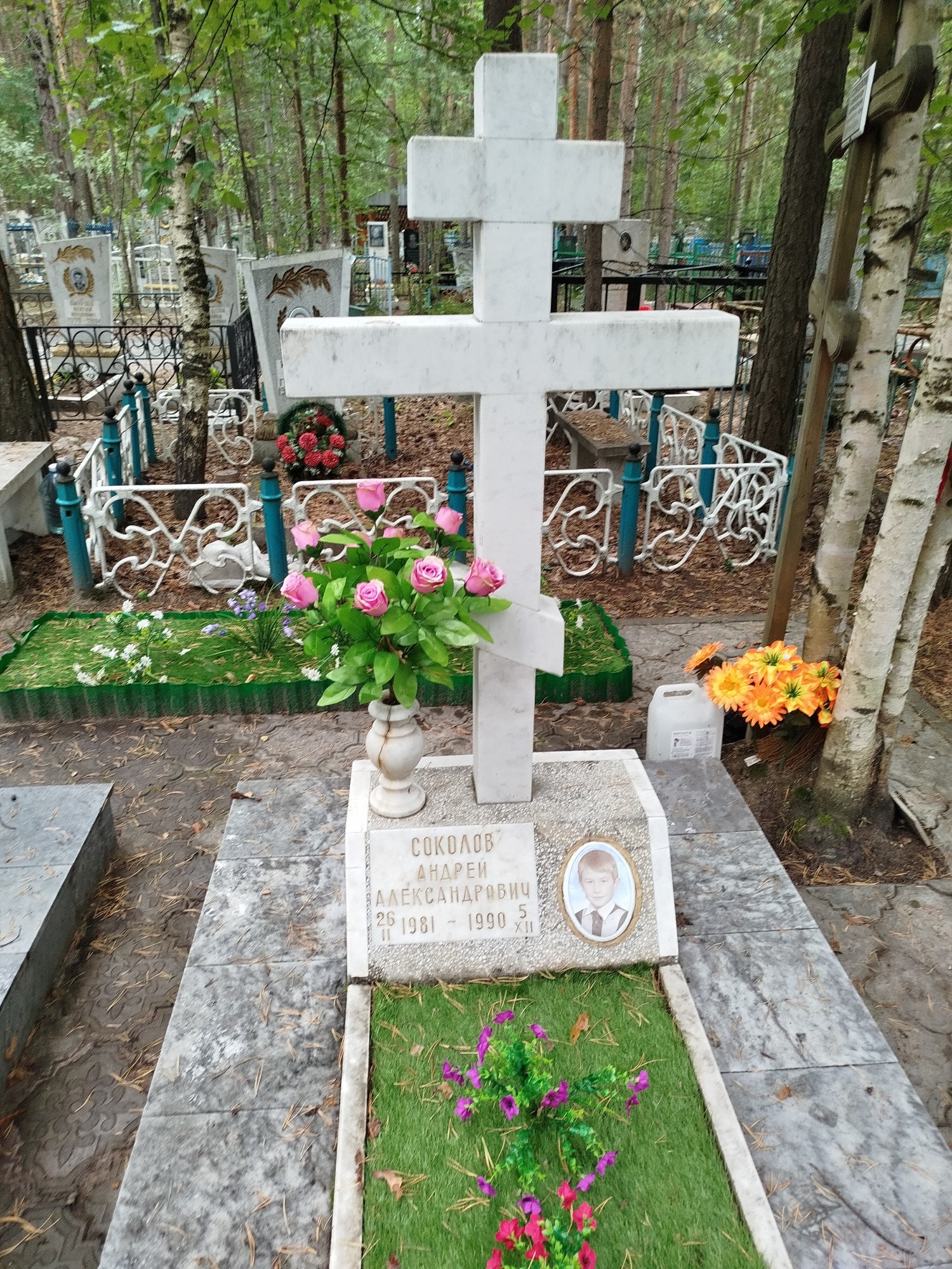 Соколов Андрей Александрович