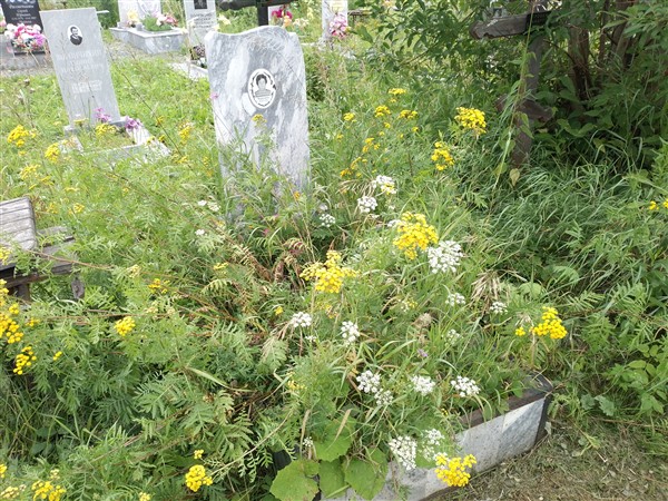 Воронина Зоя Алексеевна