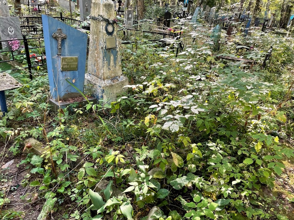 Люлюкина Матрена Яковлевна