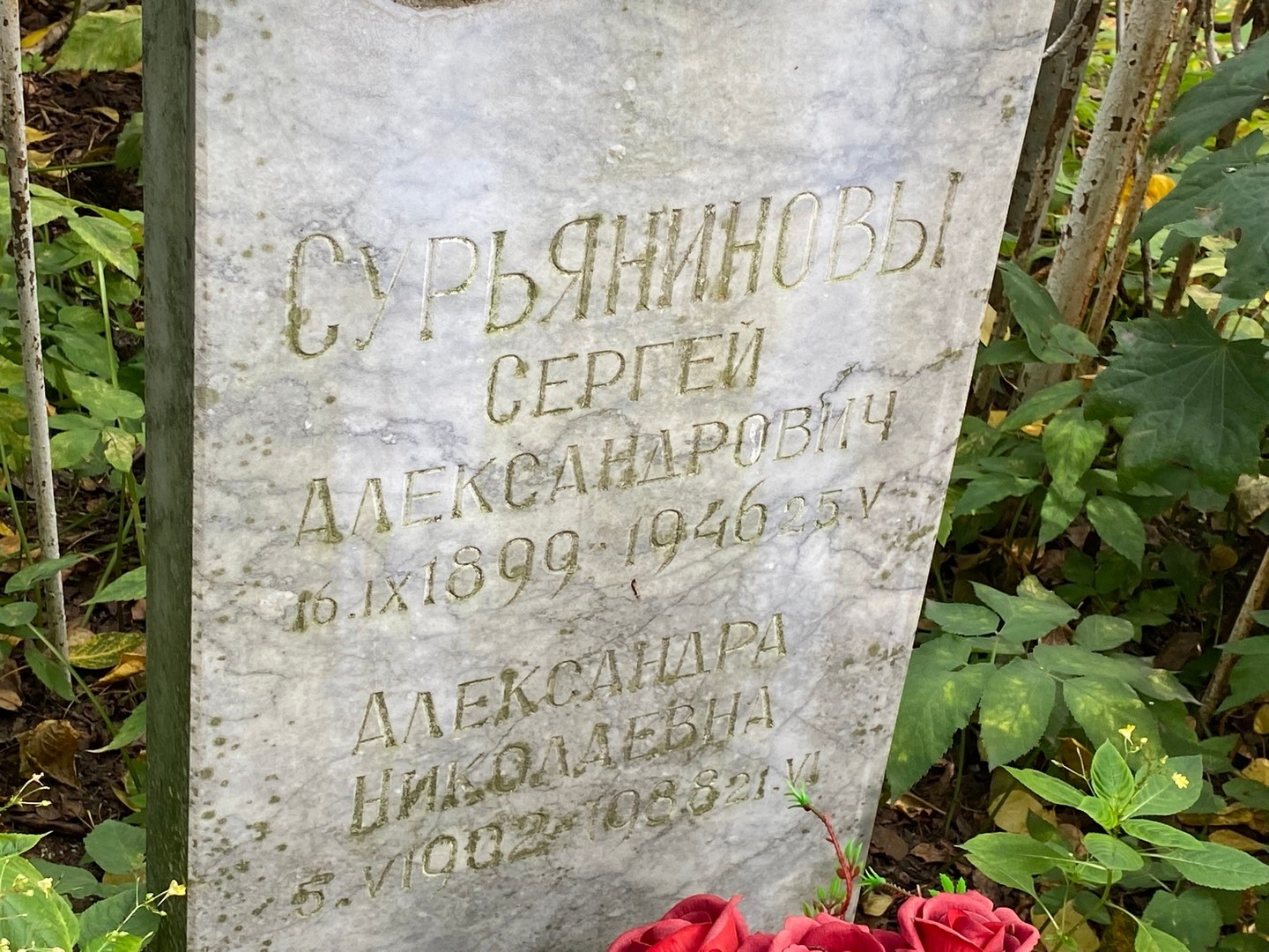 Сурьянинов