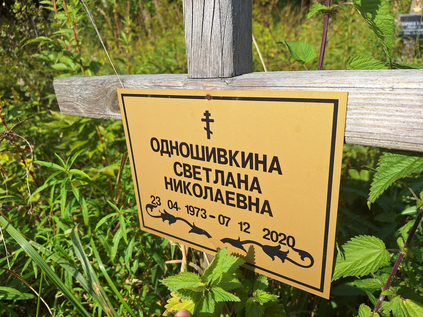 Одношивкина