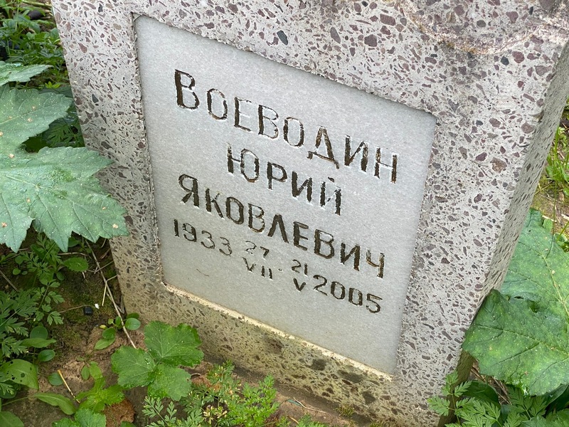 Воеводин