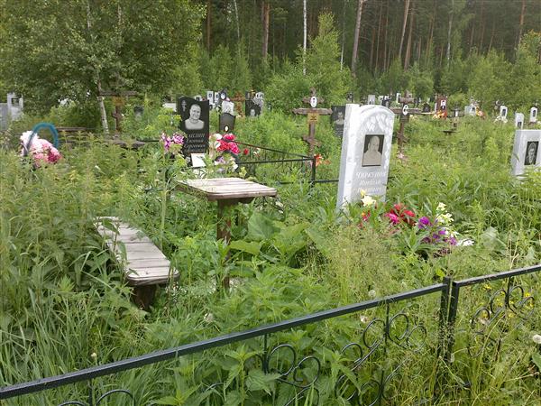Чикунов Николай Павлович