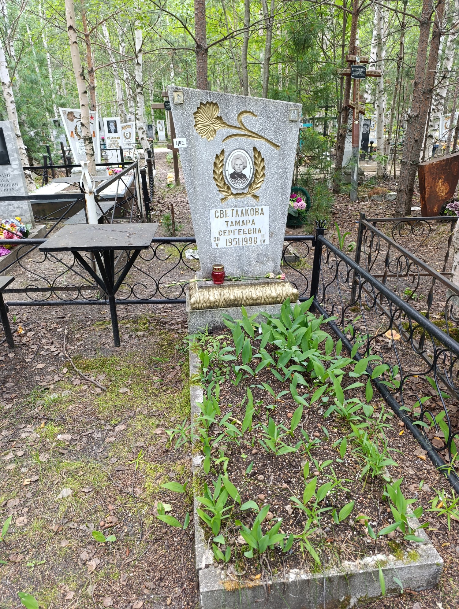 Светлакова Тамара Сергеевна