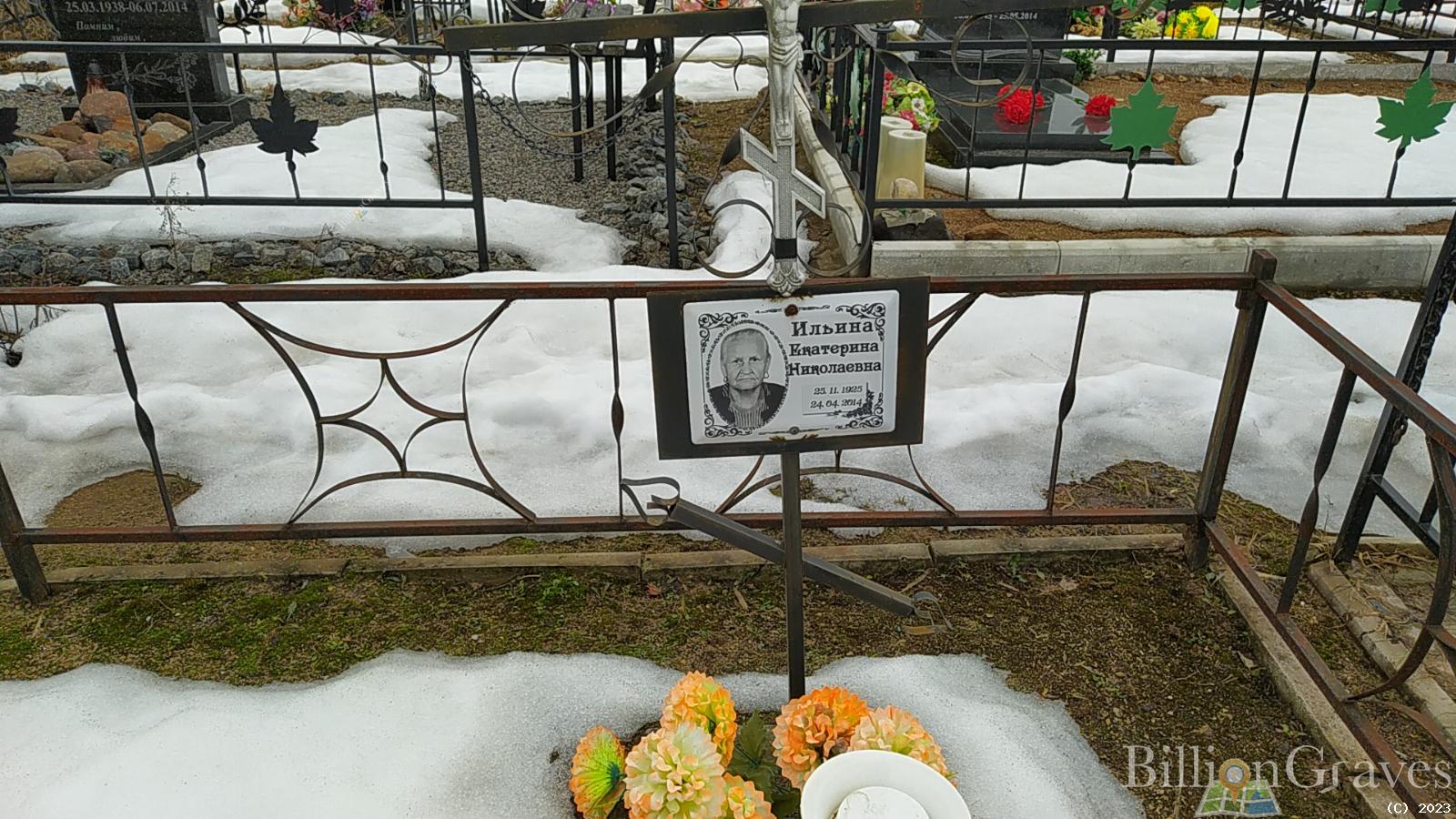 Ильина Екатерина Николаевна