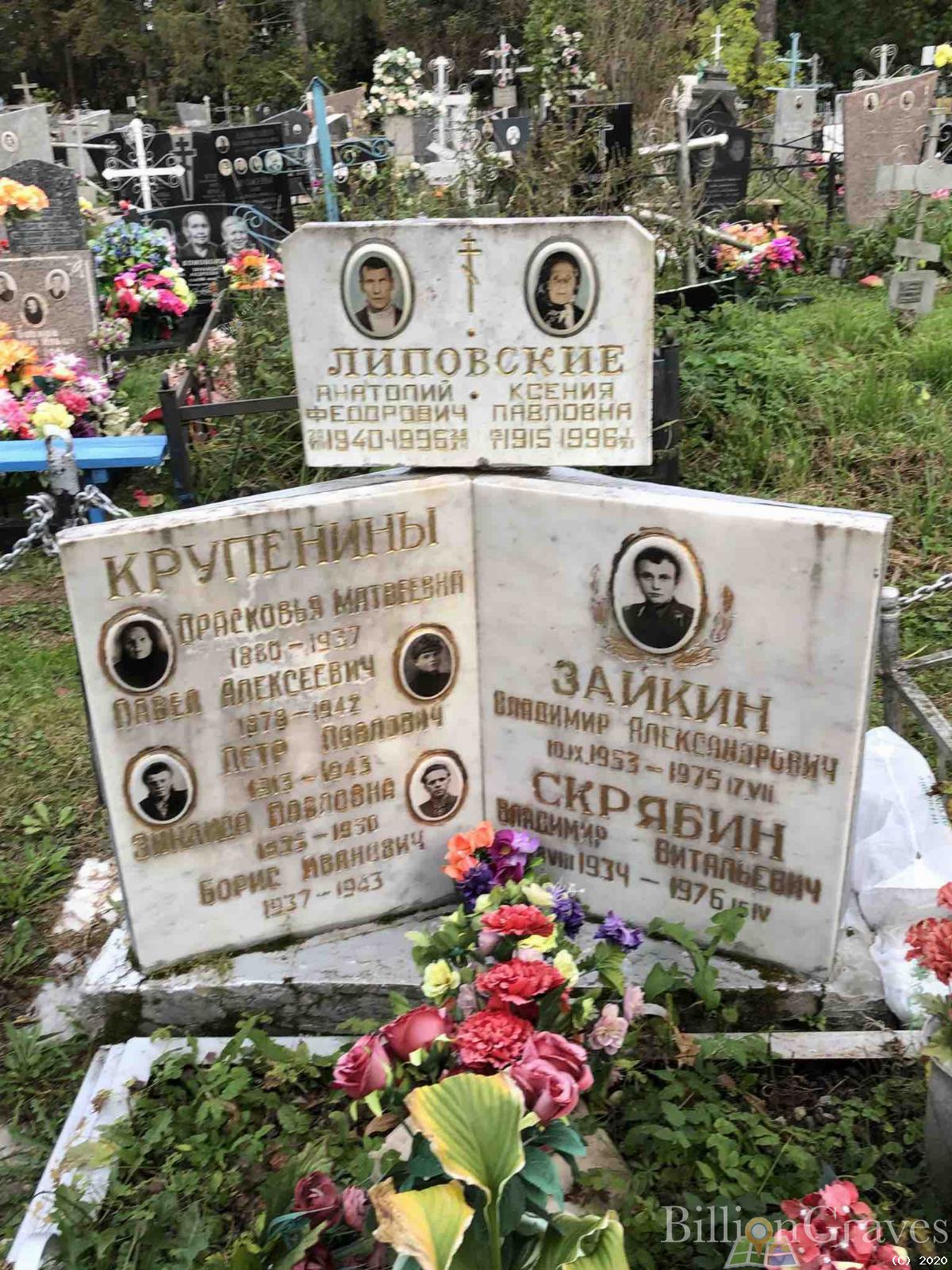 Липовская Ксения Павловна