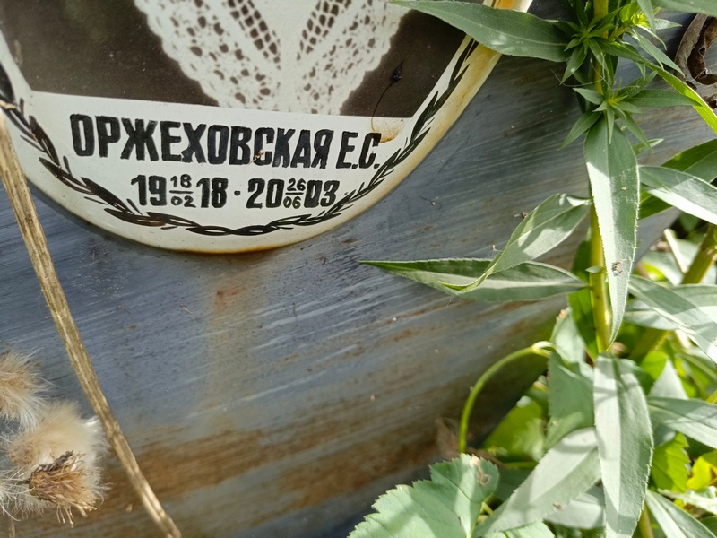 Е. Оржеховская С.