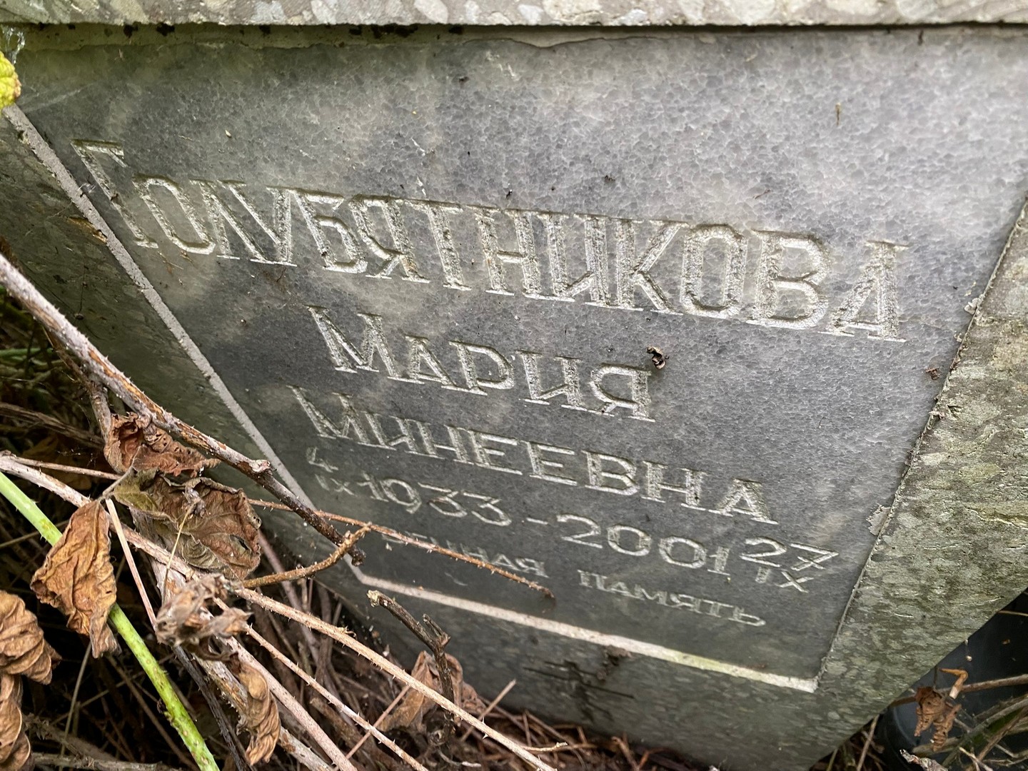 Голубятникова