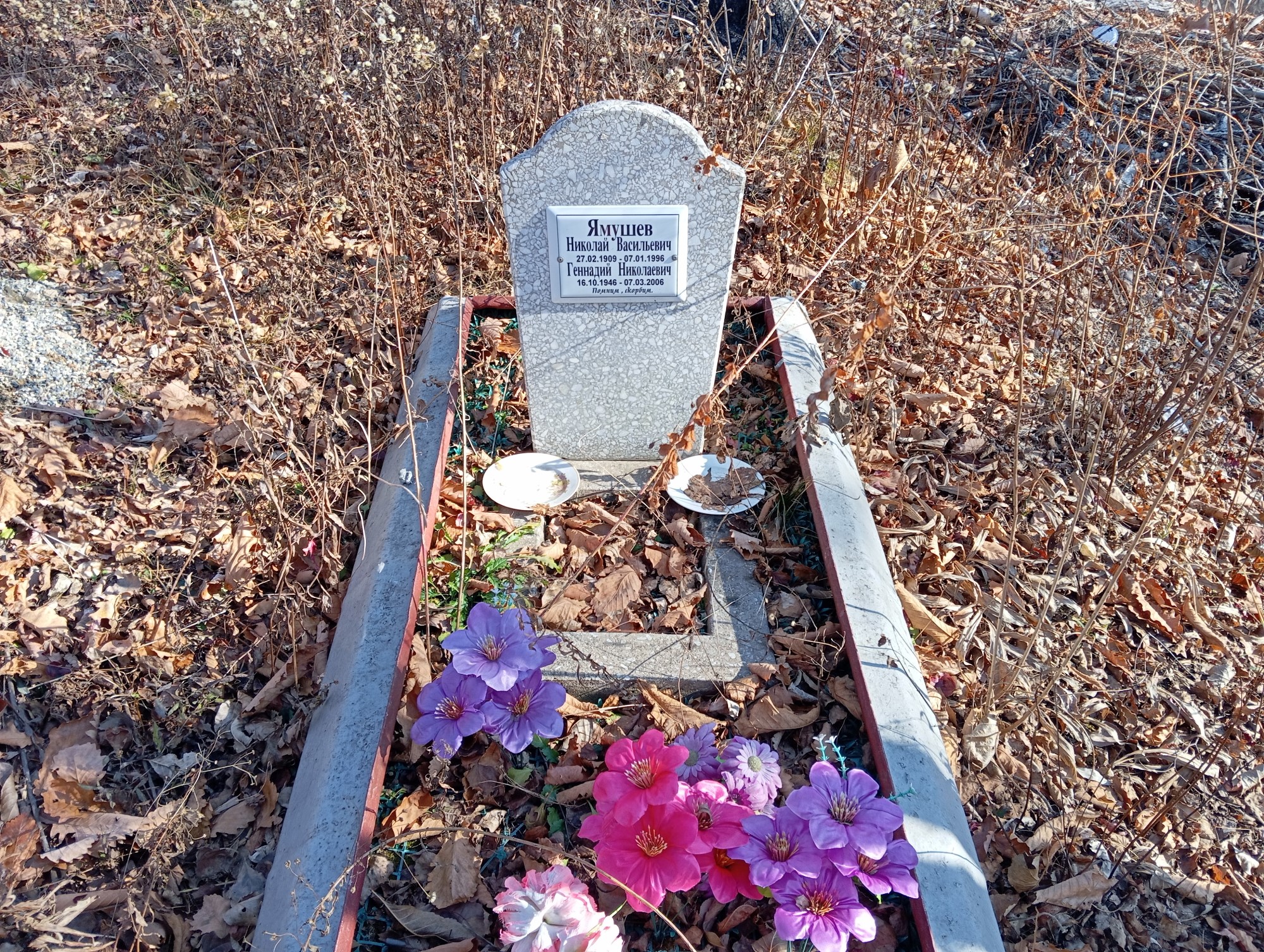 Ямушев Николай Васильевич