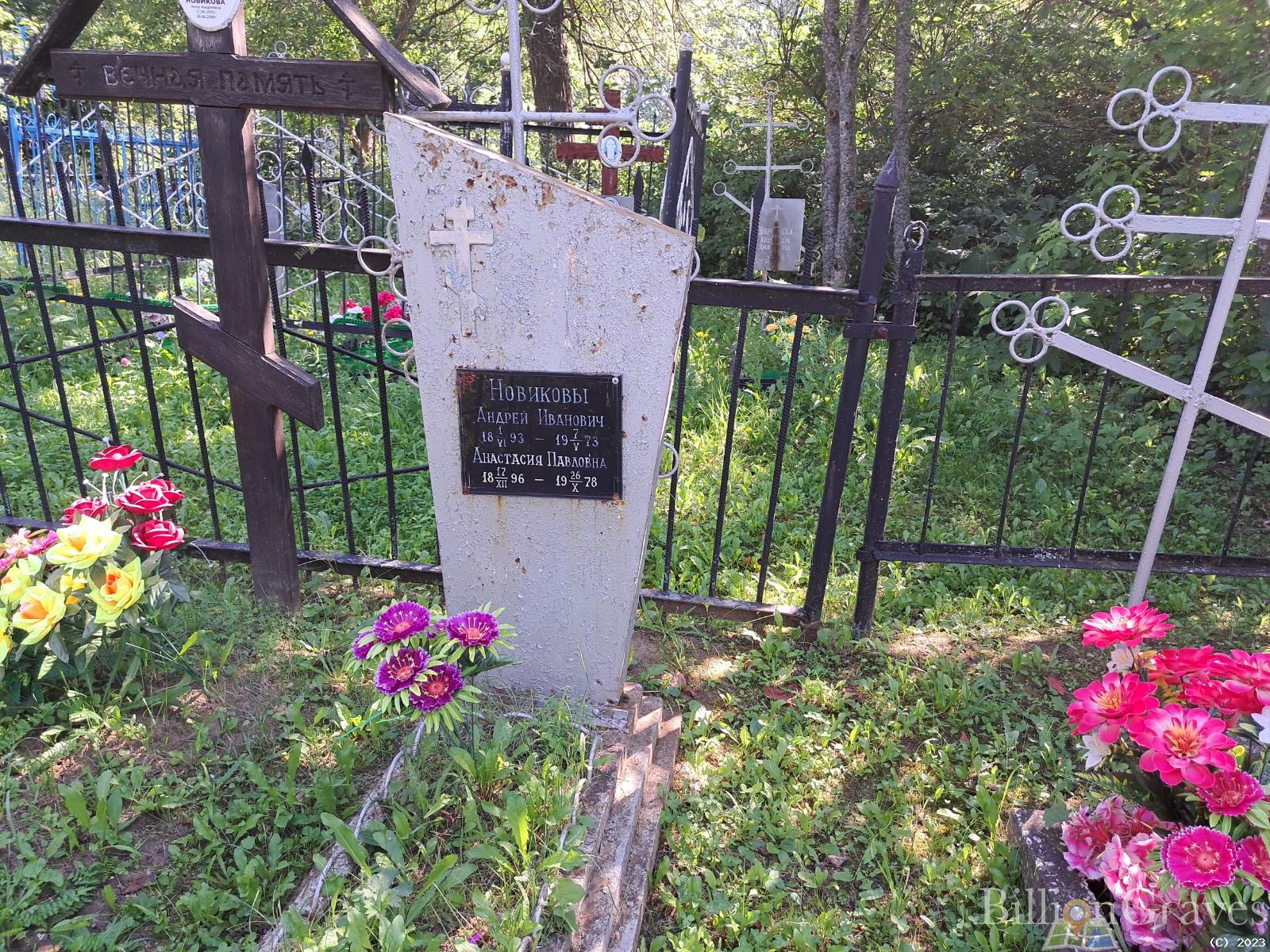 Новикова Анастасия Павловна
