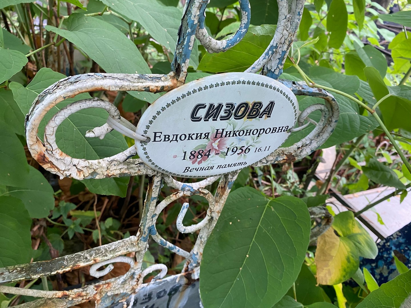 Сизова