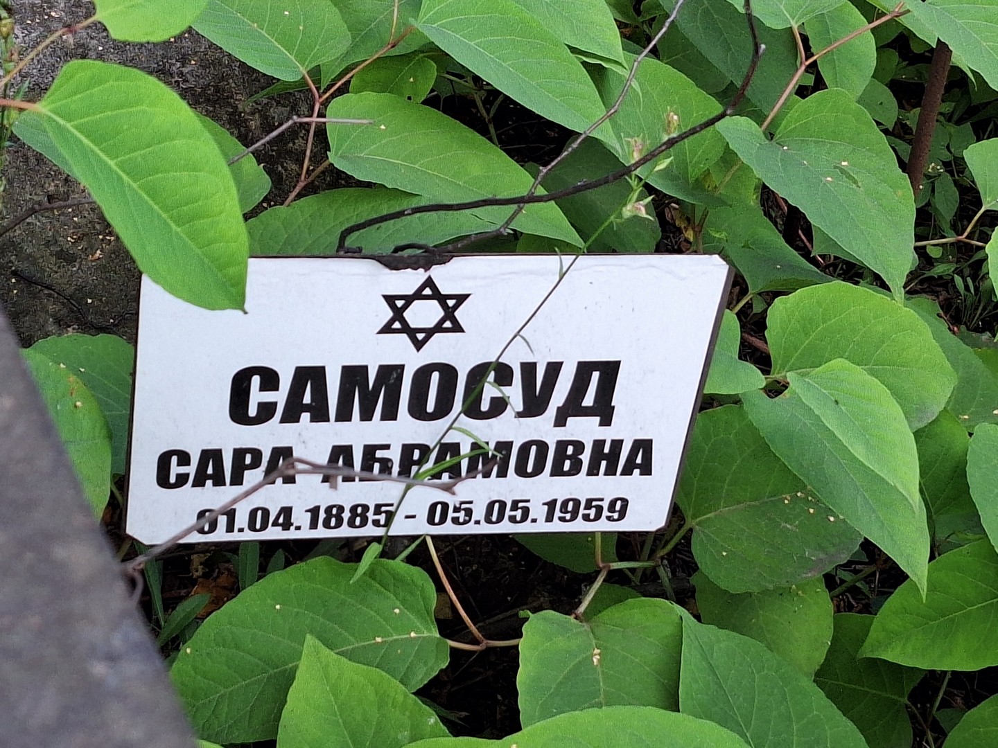 Сара Самосуд Абрамовна