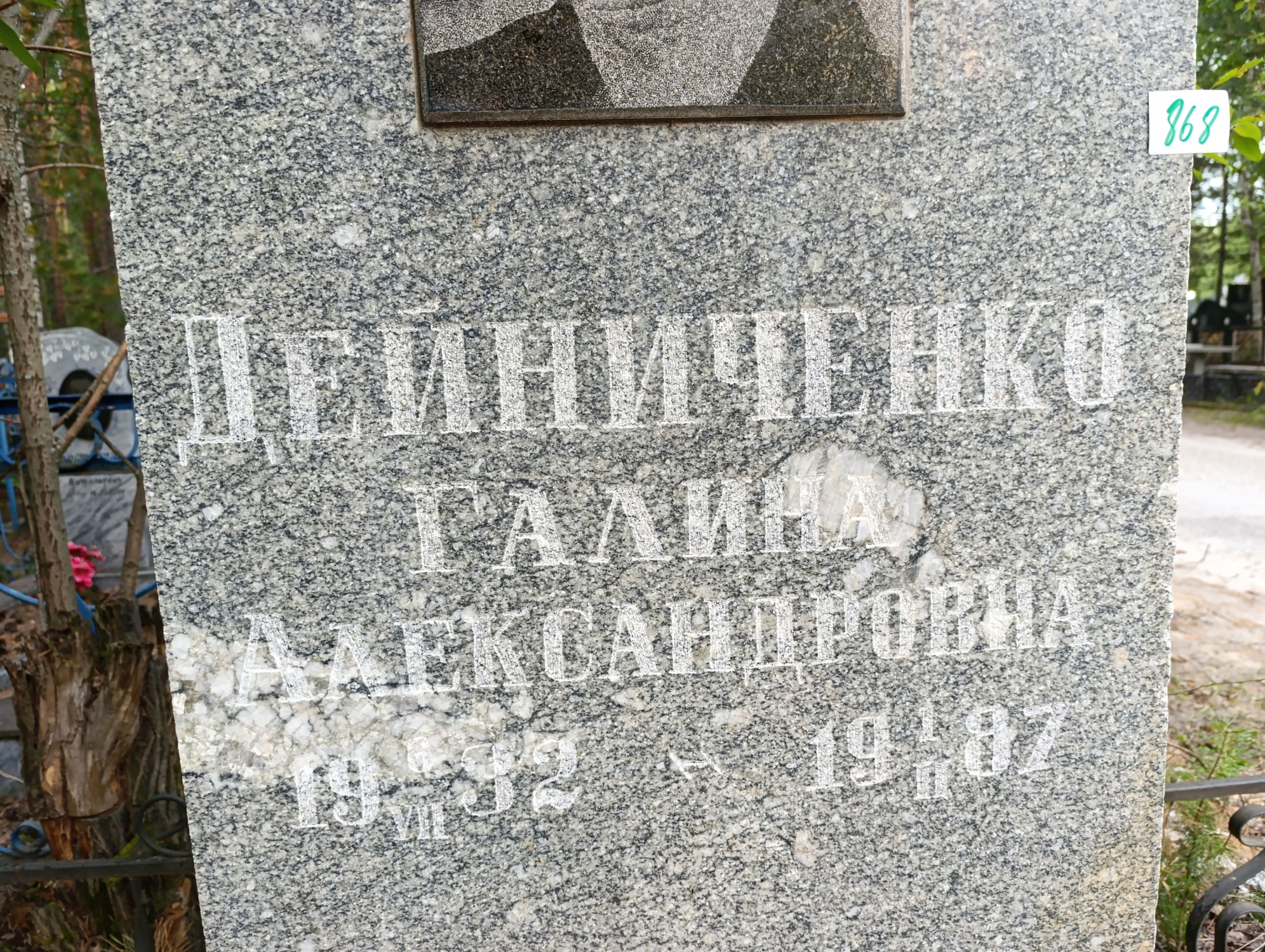 Дейниченко Галина Александровна
