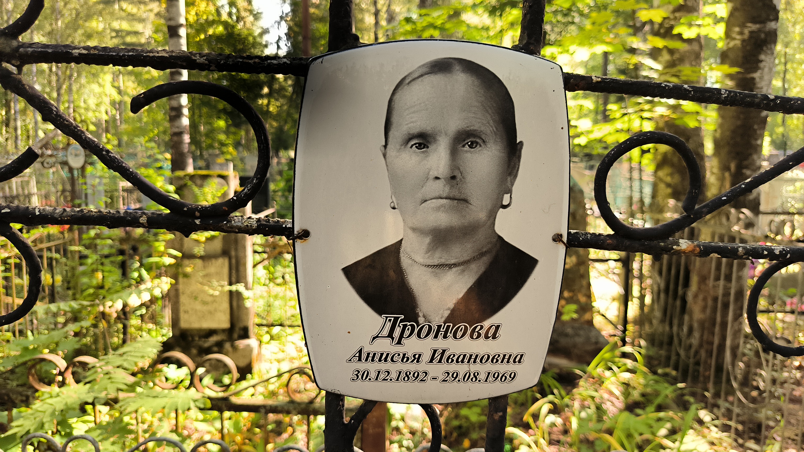 Дронова Анна Михайловна