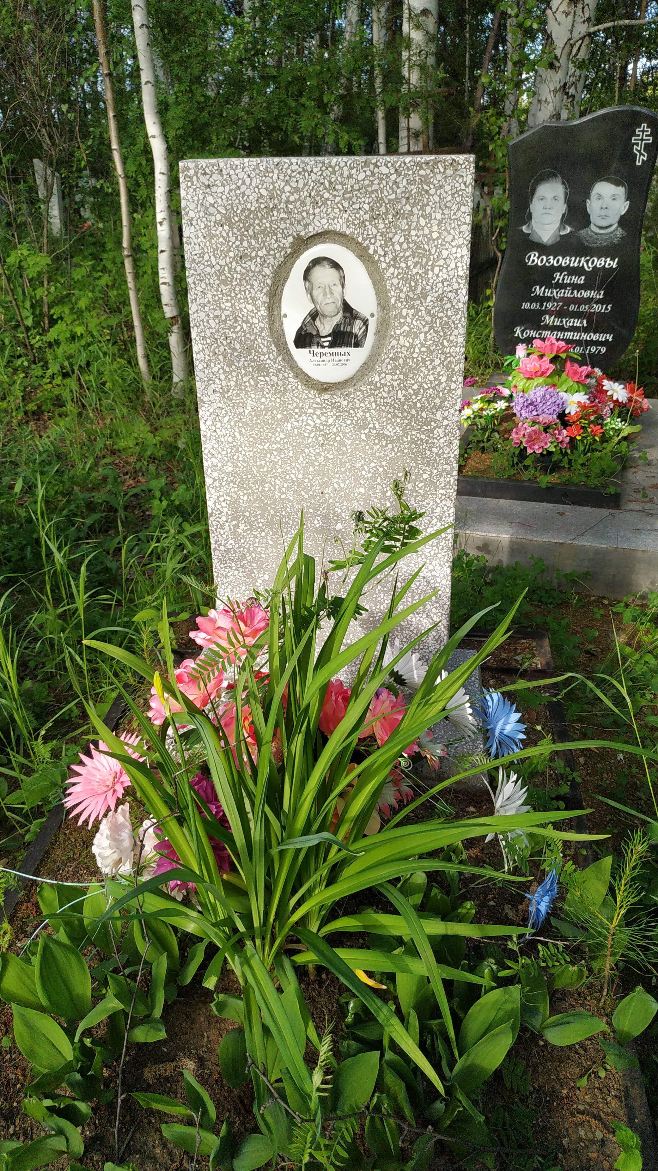 Черемных Александр Иванович