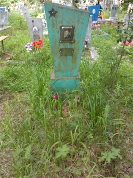 Гусельников Георгий Миронович