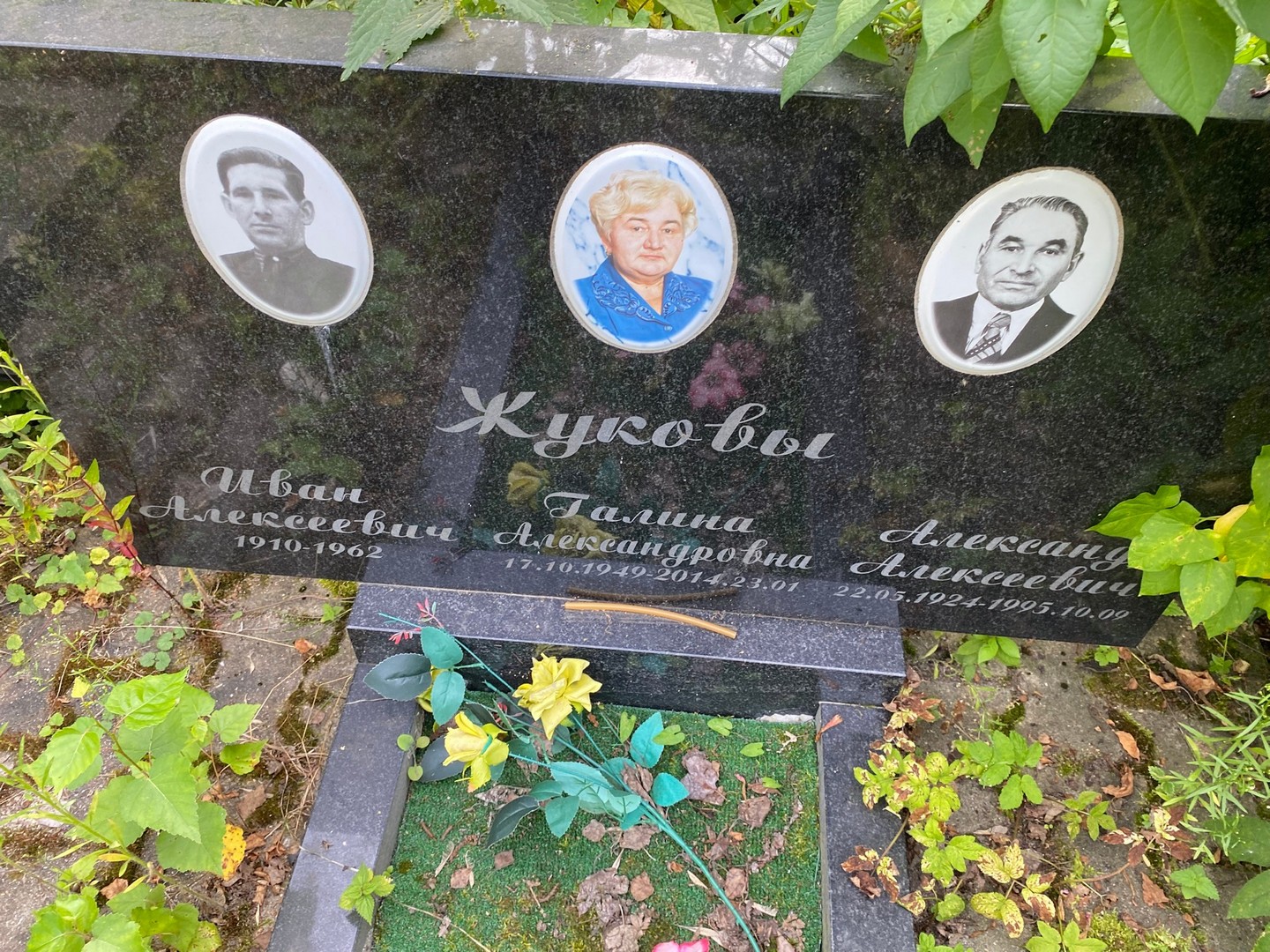 Жукова