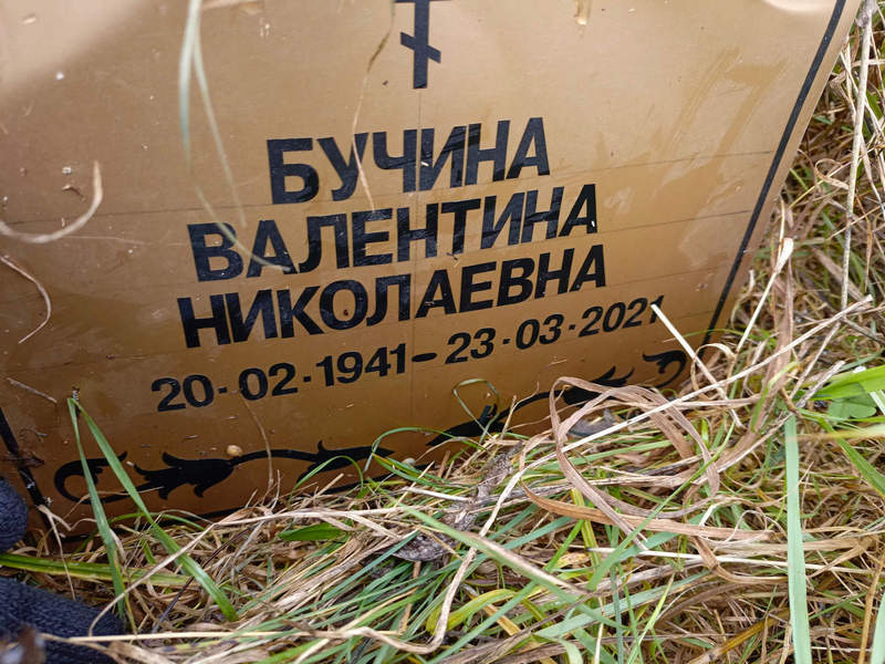 Бучина
