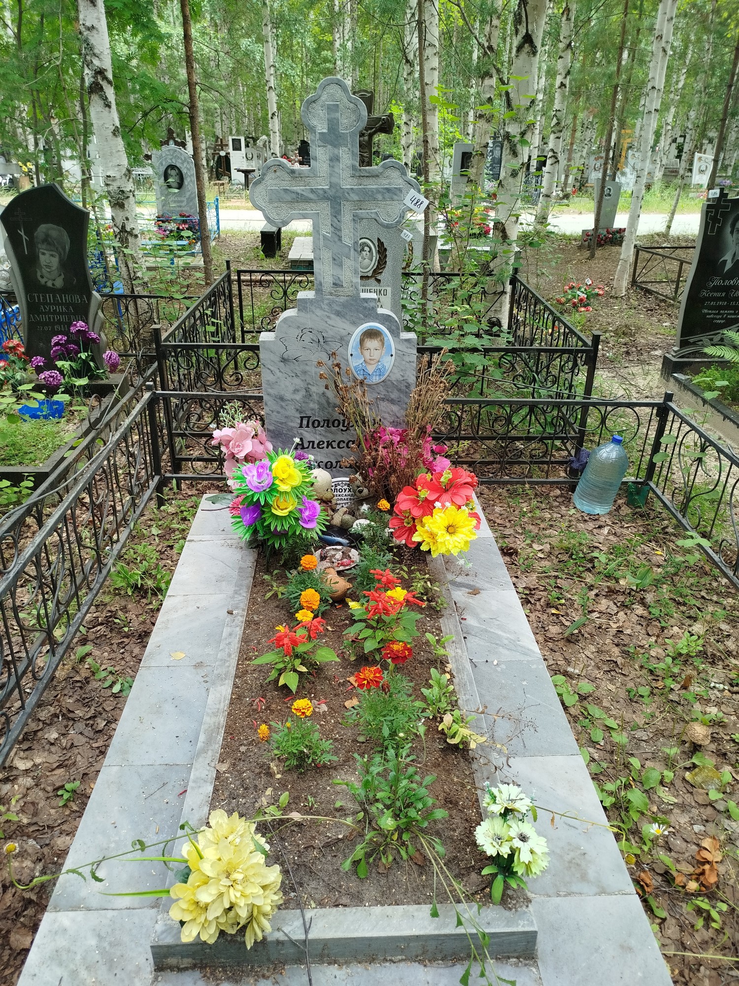 Полоухин Александр Николаевич