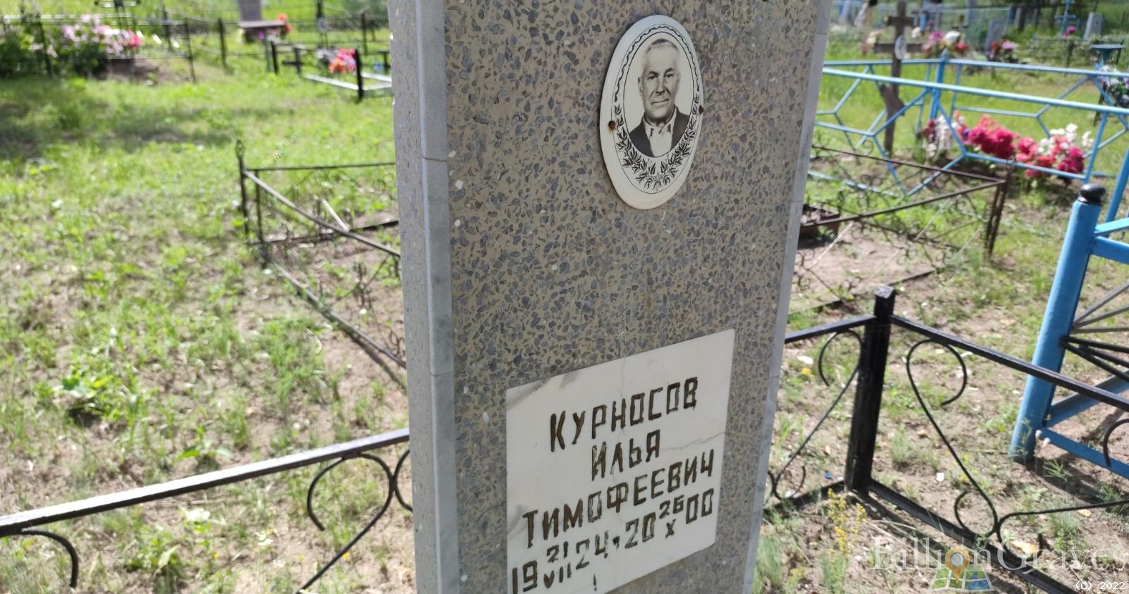 Курносов Илья Тимофеевич