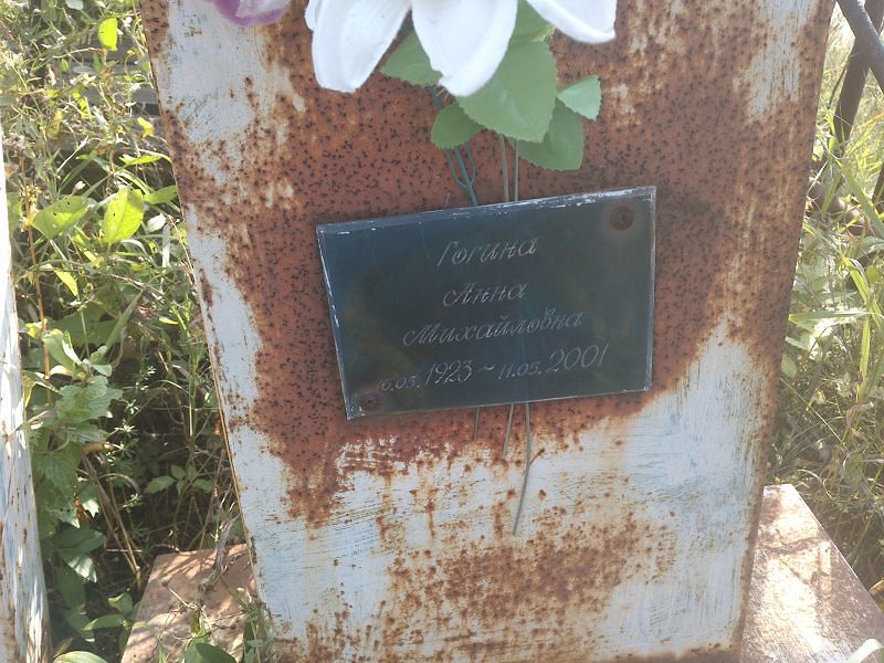 Гогина