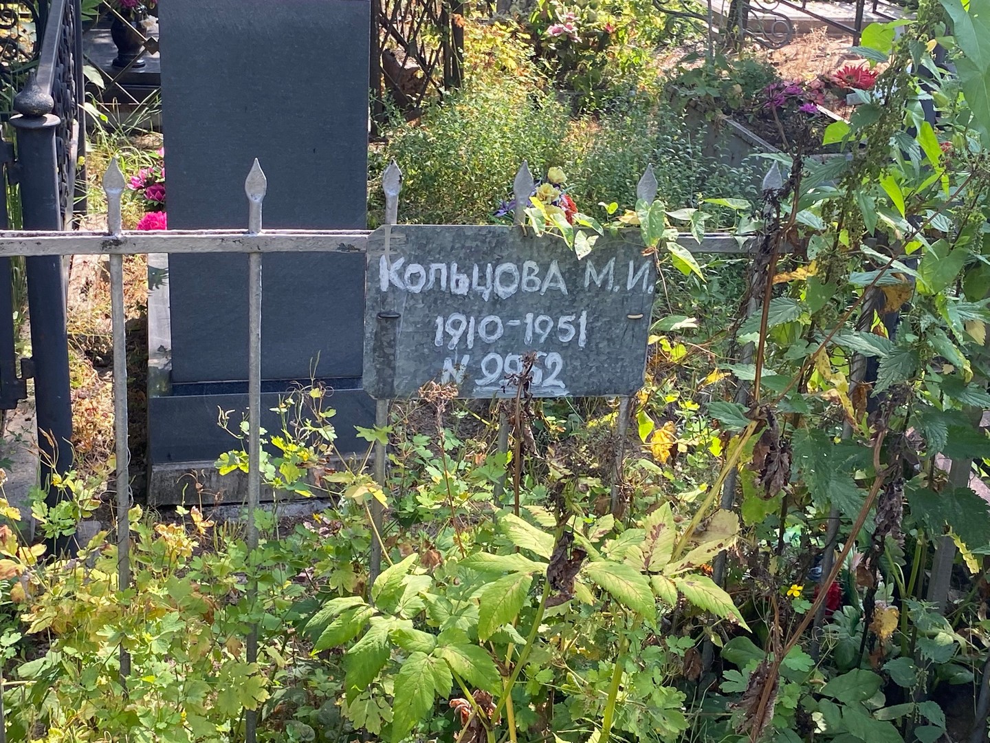 М Кольцова И