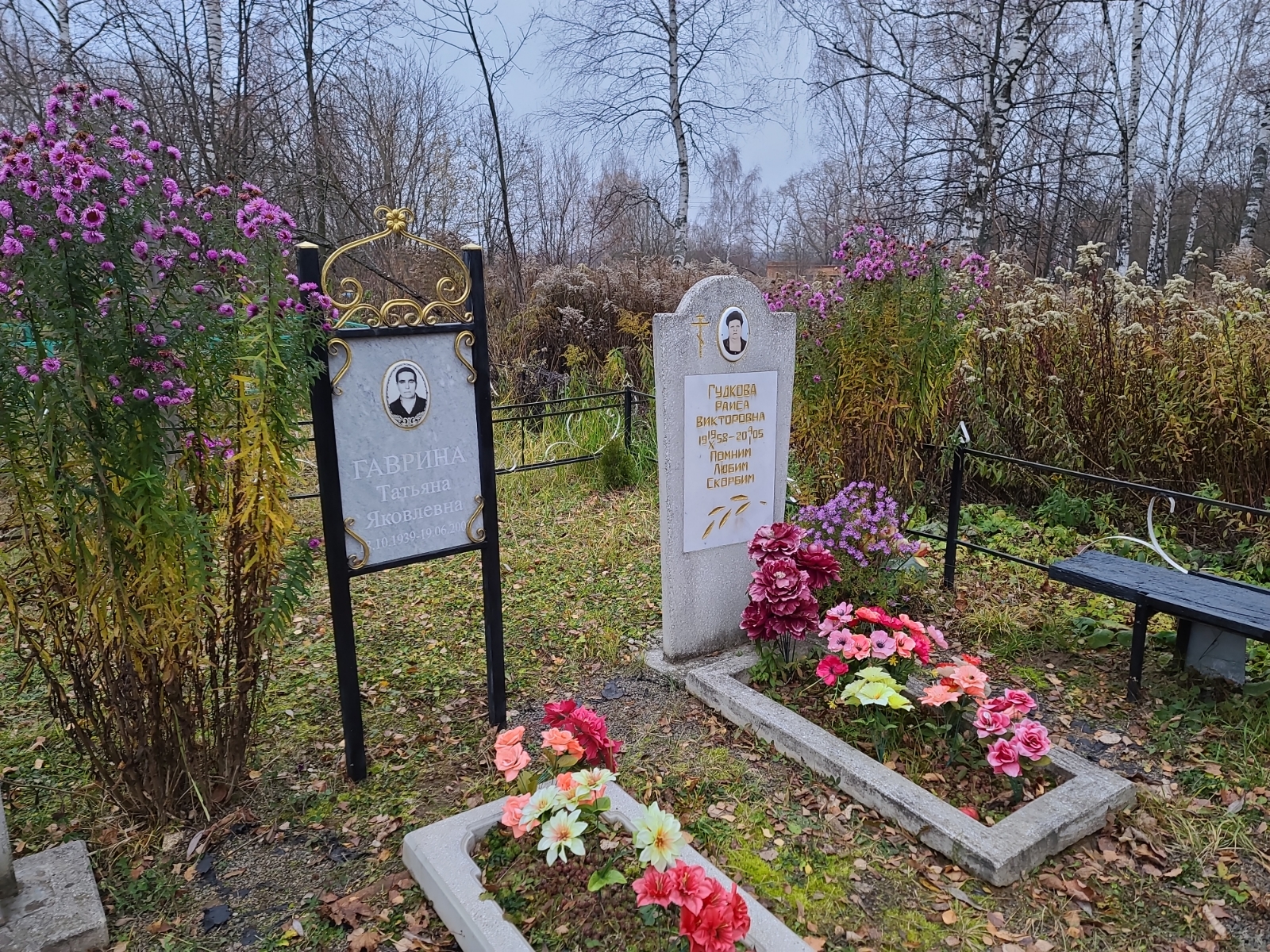 Гудкова Раиса Викторовна