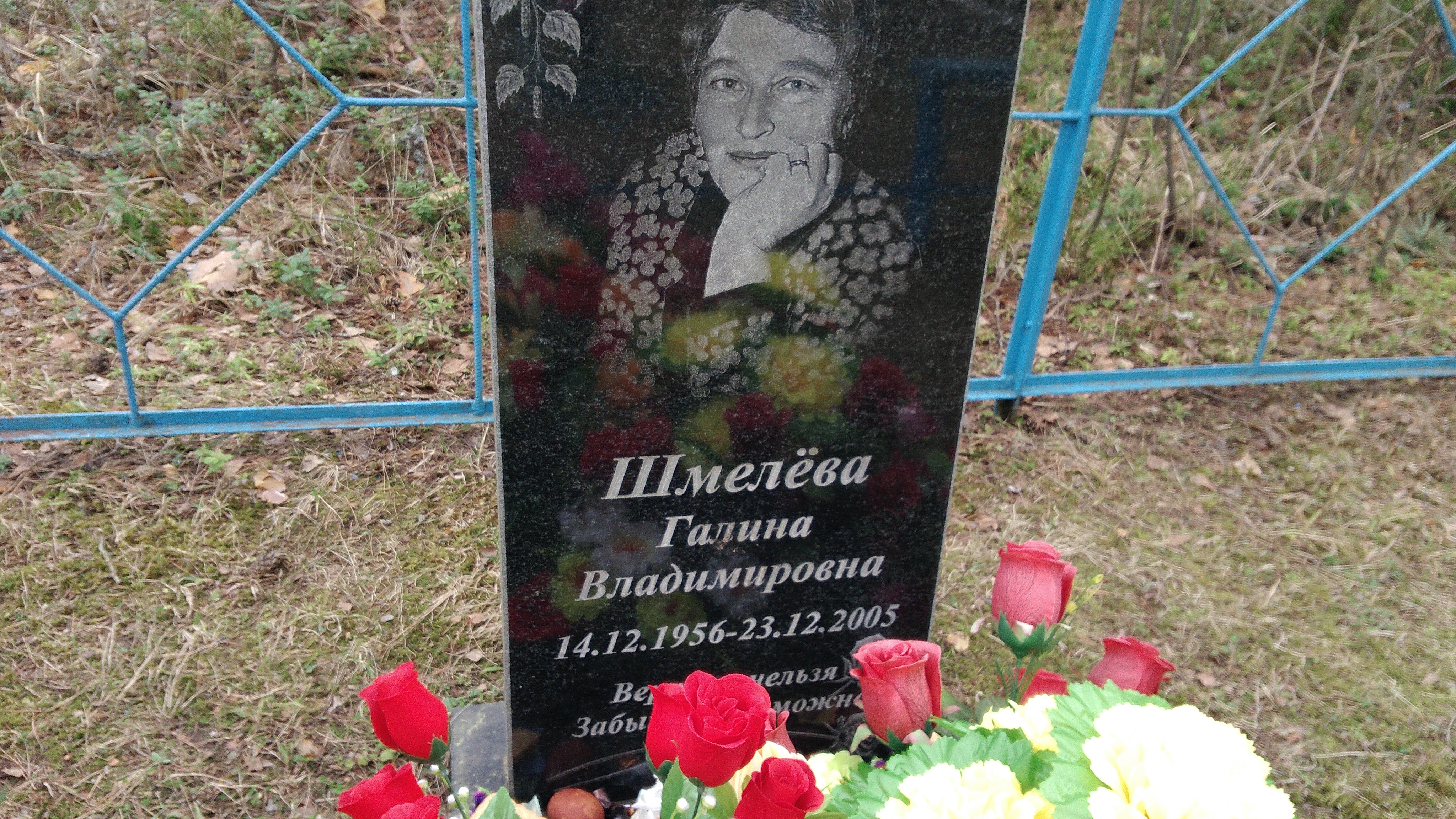 Шмелёва Галина Владимировна
