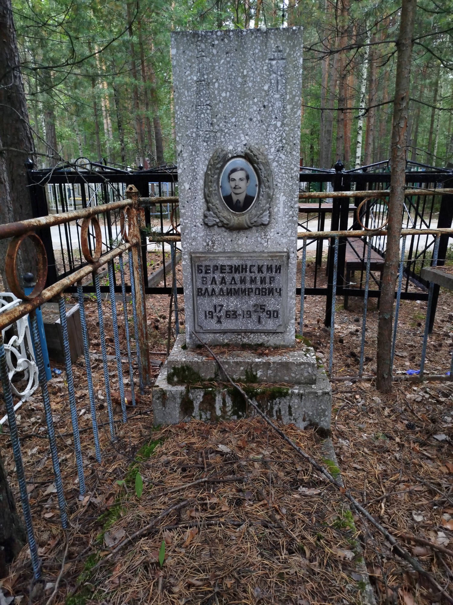 Березинский Владимир Владимирович
