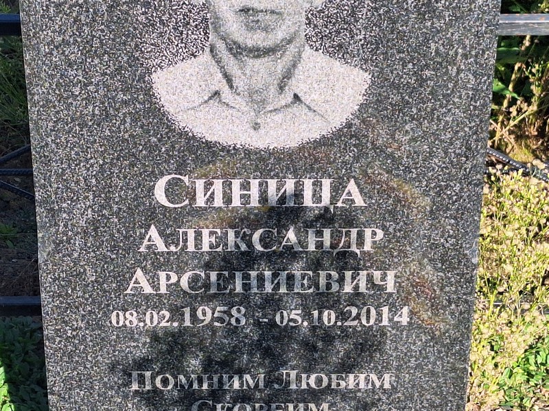 Синица
