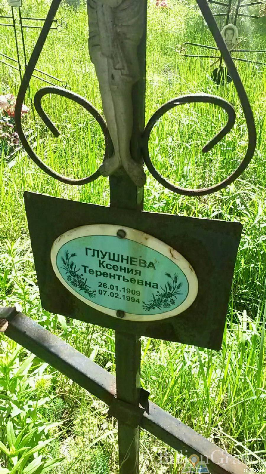 Глушнева Ксения Терентьевна