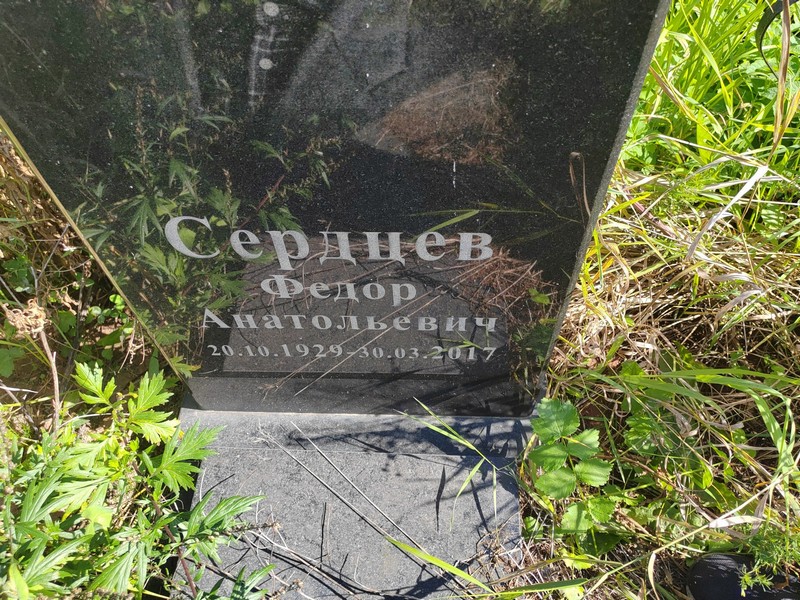 Сердцев