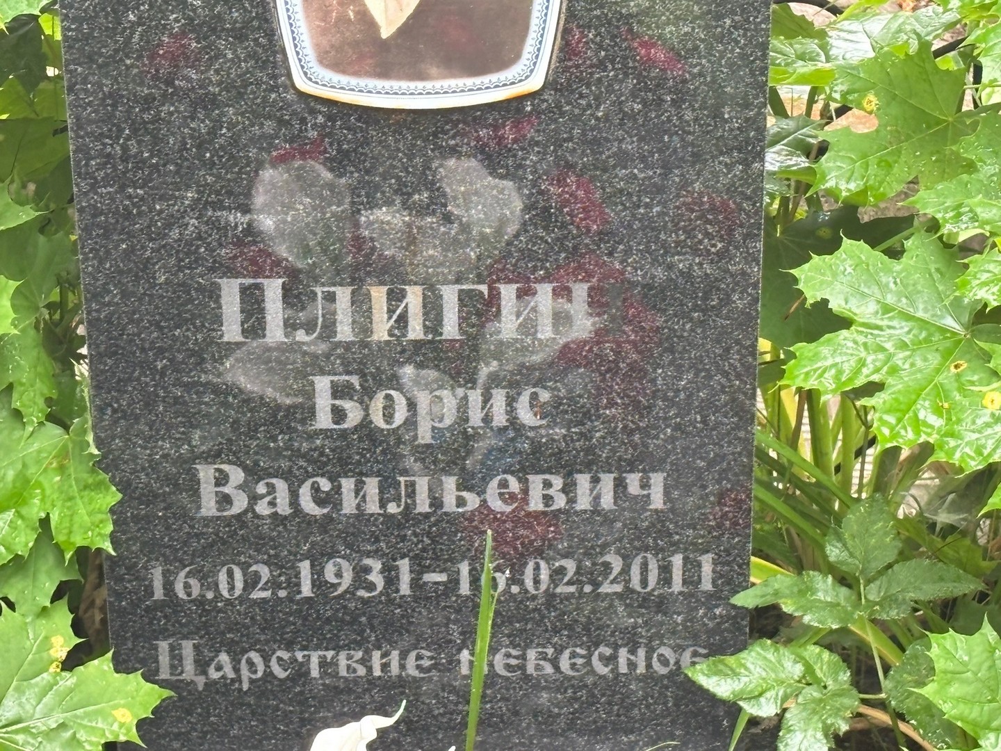 Плигин