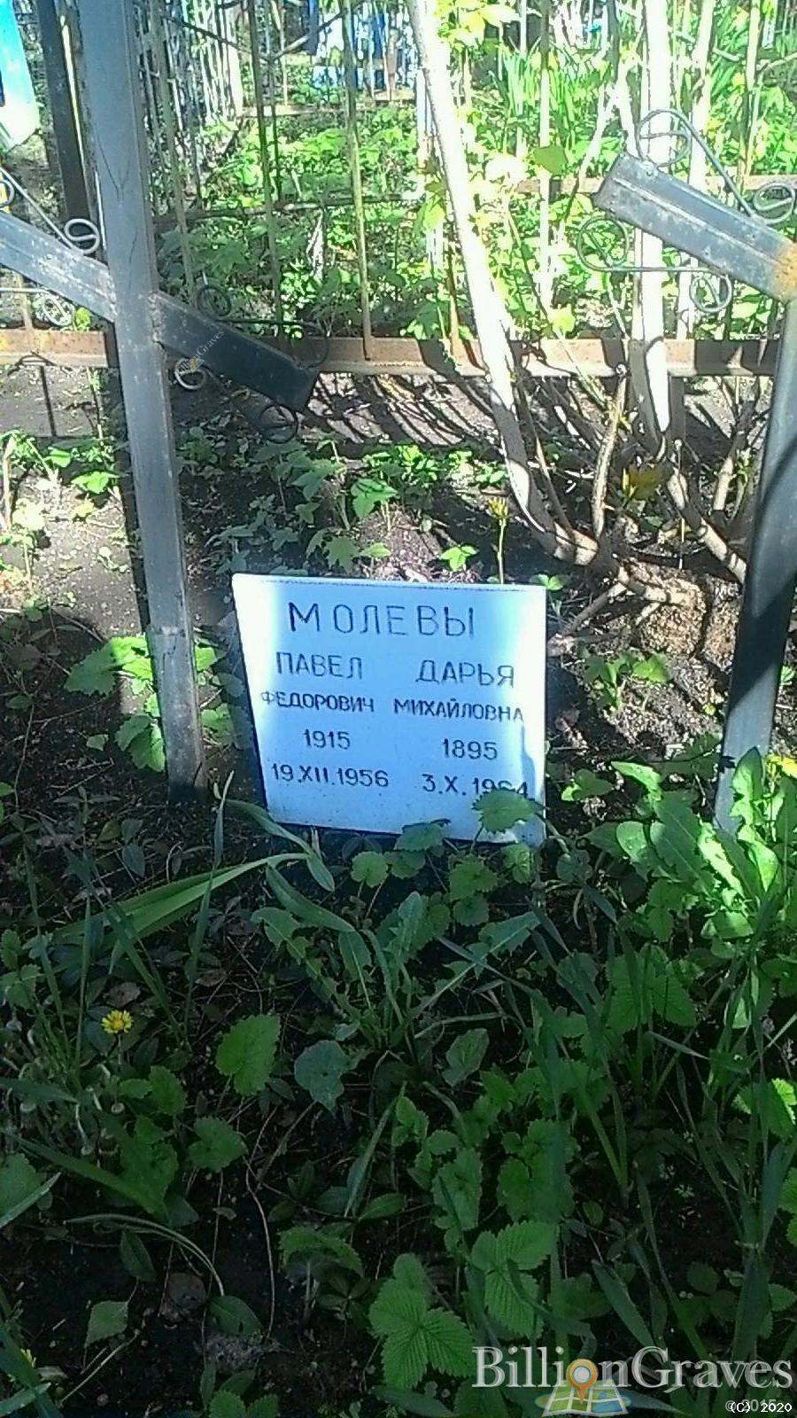 Молева Дарья Михайловна