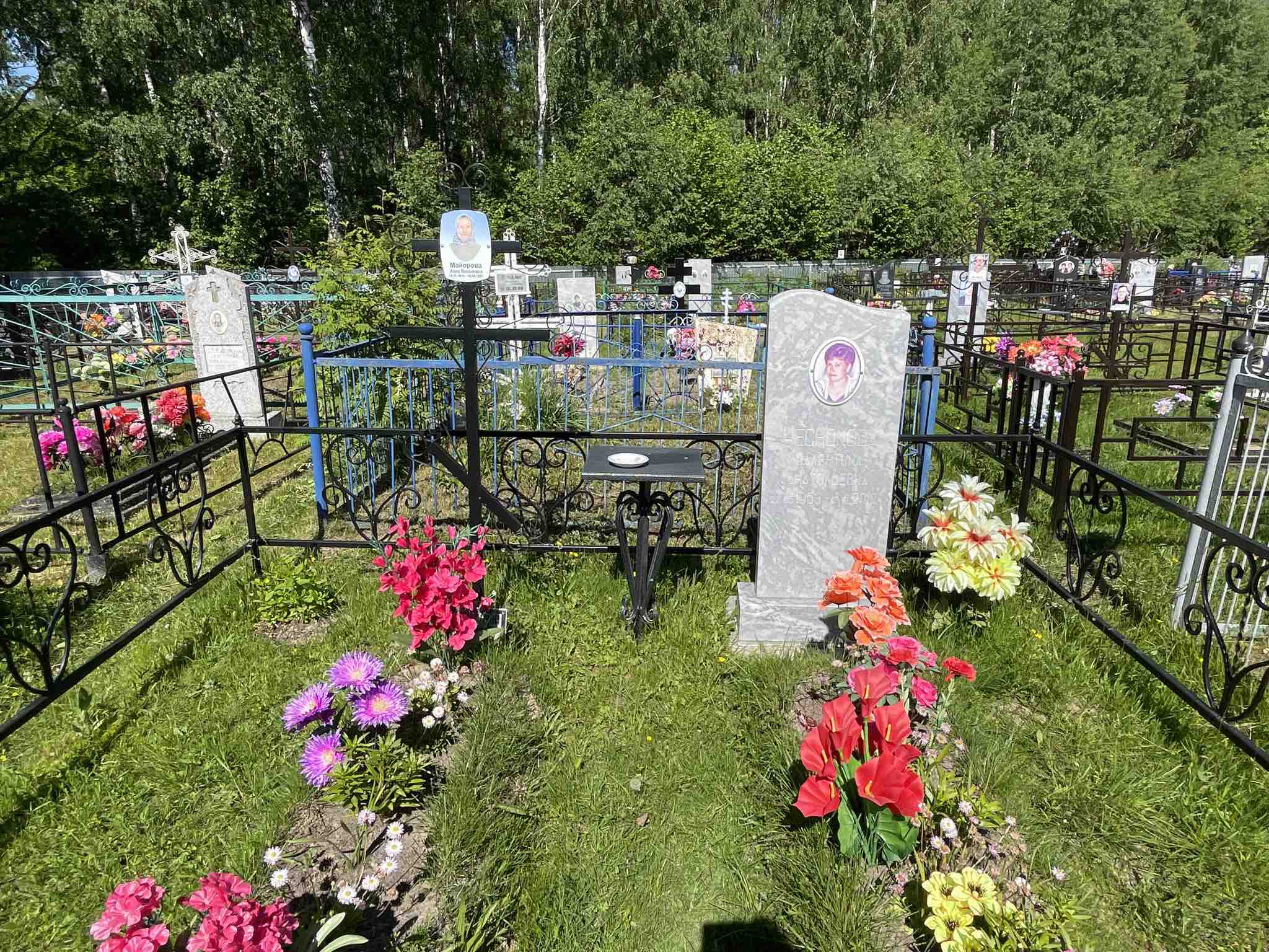 Чеснокова Валентина Анатольевна