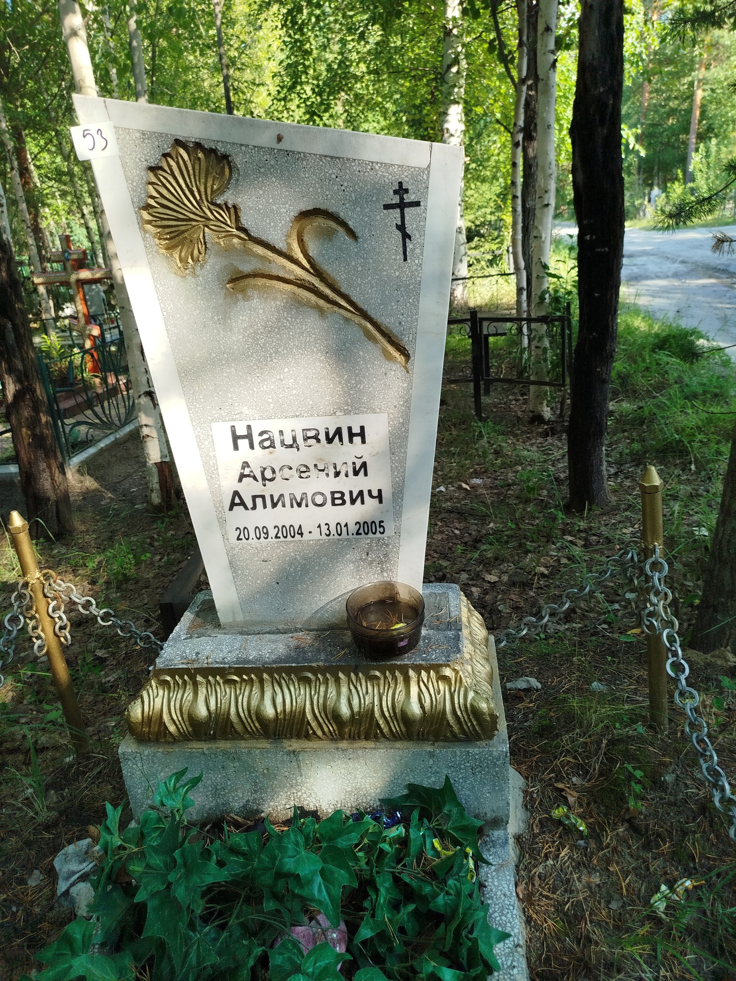 Нацвин Арсений Алимович