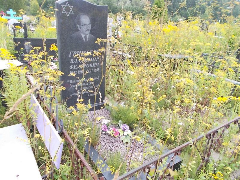 Гринберг Владимир Федорович